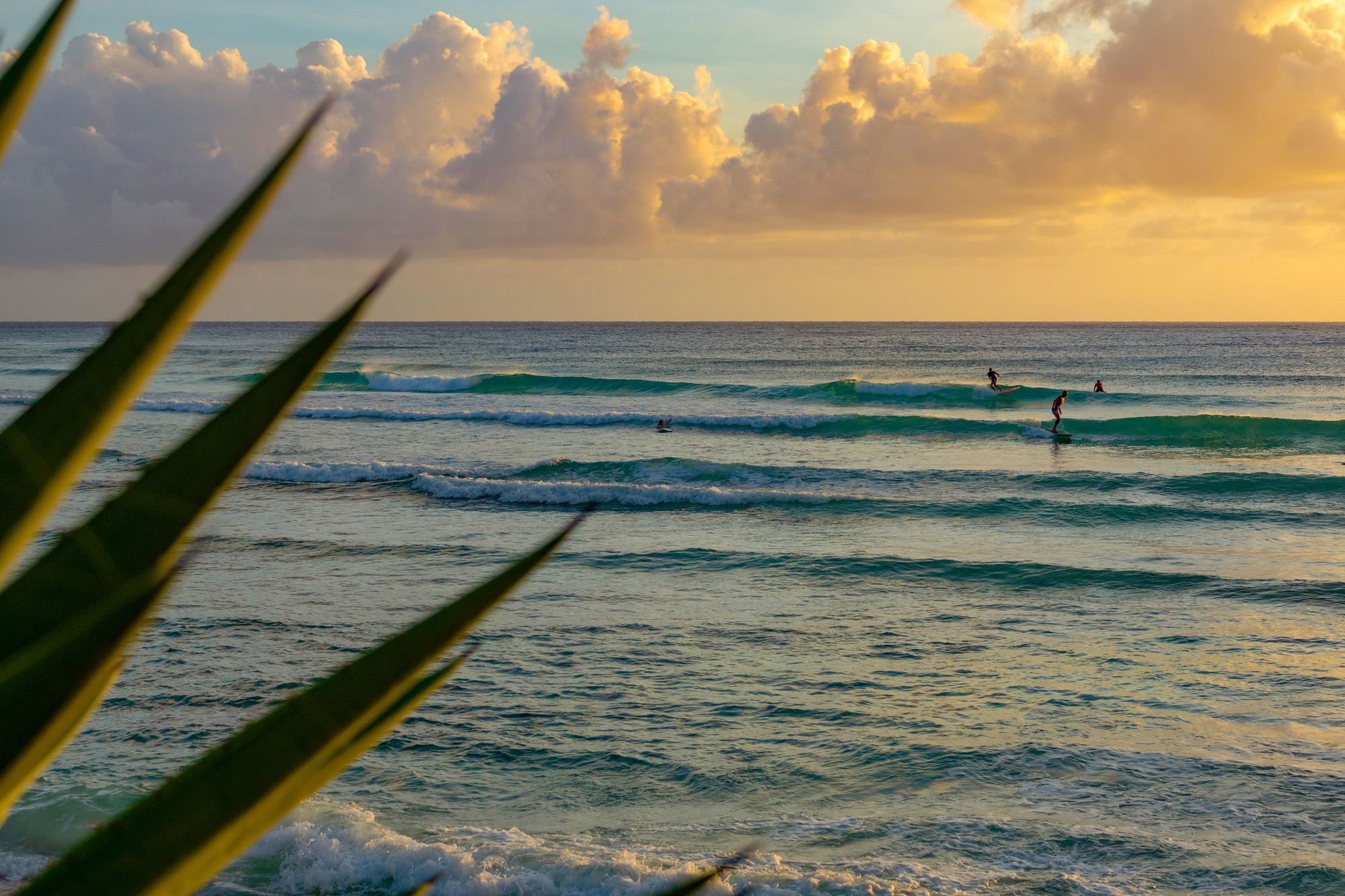 surf boat trip caribbean