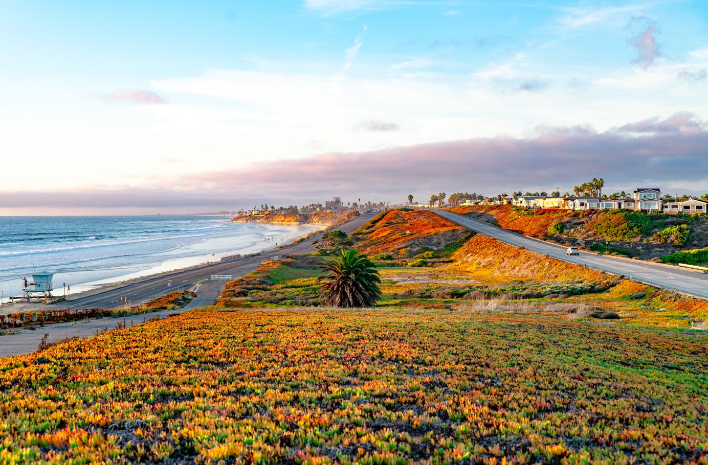 Ultimate Surf Travel Guide: Southern California